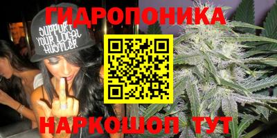 герыч Бердск